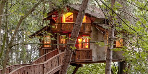 conservative treehouse